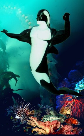 CetaOne — underwater composite